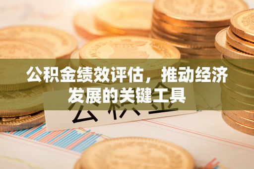 恩施公积金绩效评估，推动经济发展的关键工具