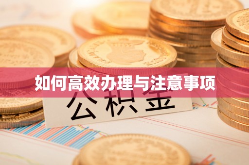 恩施如何高效办理与注意事项
