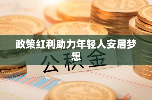 恩施政策红利助力年轻人安居梦想