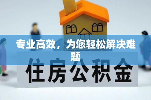 恩施专业高效，为您轻松解决难题
