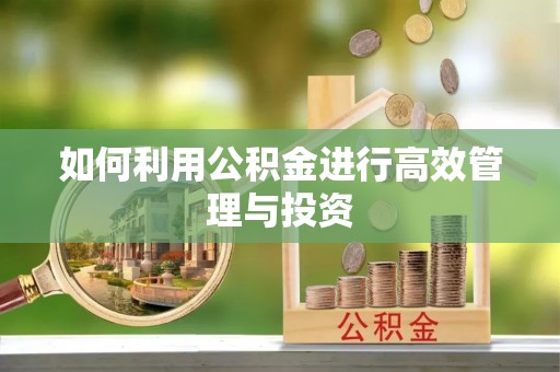 恩施如何利用公积金进行高效管理与投资